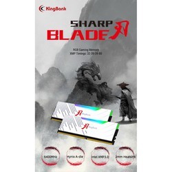 Оперативная память Kingbank SharpBlade RGB DDR5 2x32Gb KBSBRW640032X2