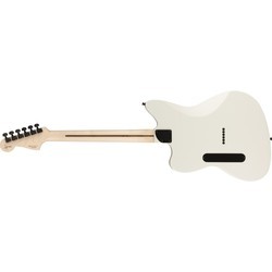 Электро и бас гитары Fender Jim Root Jazzmaster V4