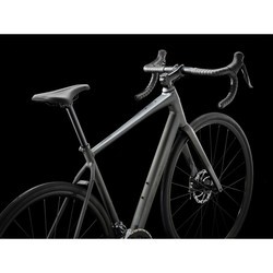 Велосипеды Trek Domane AL 2 Gen 4 2024 frame 54