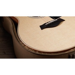 Акустические гитары Taylor GS Mini Sapele