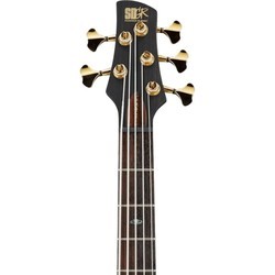 Электро и бас гитары Ibanez SR1205