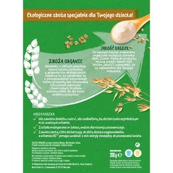 Детское питание Gerber Organic Dairy-Free Porridge 6 200