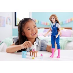 Куклы Barbie Careers Farm Vet HRG42