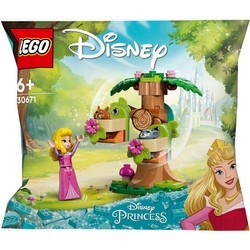 Конструкторы Lego Auroras Forest Playground 30671