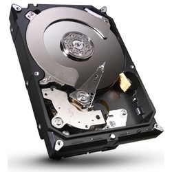 Жесткие диски Seagate ST320DM001