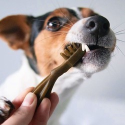 Корм для собак Whimzees Dental Treasts Toothbrush XS 360 g 48&nbsp;шт
