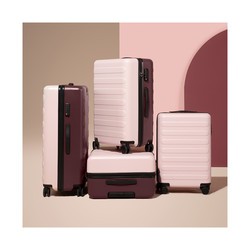 Чемоданы Ninetygo Rhine Luggage  20 (розовый)