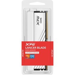 Оперативная память A-Data Lancer Blade DDR5 1x16Gb AX5U5600C4616G-SLABBK