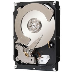 Жесткий диск Seagate Constellation CS