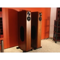 Акустическая система Audio Physic Virgo III (коричневый)