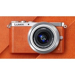 Фотоаппарат Panasonic DMC-GM1 kit 12-32