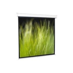 Проекционные экраны Redleaf Goldview Wall Screen 244x183