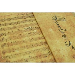 Блокноты Paperblanks Manuscripts Mozart Middle