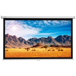 Проекционный экран Projecta SlimScreen 125x125