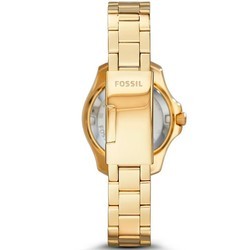 Наручные часы FOSSIL AM4577