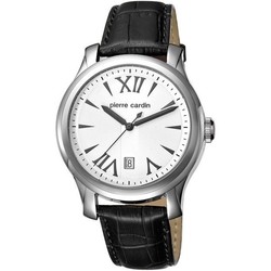 Наручные часы Pierre Cardin PC104121F01
