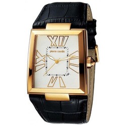 Наручные часы Pierre Cardin PC101481F06