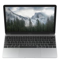 Ноутбуки Apple 12 MacBook 256GB