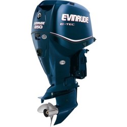 Лодочные моторы Evinrude E250DPZ