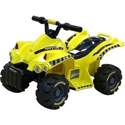 Детские электромобили Rich Toys TR1305