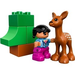 Конструктор Lego Animals 10582