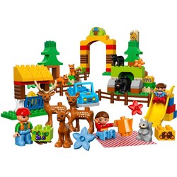 Конструктор Lego Forest 10584