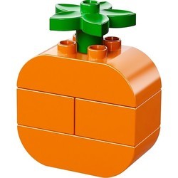 Конструктор Lego Creative Picnic 10566