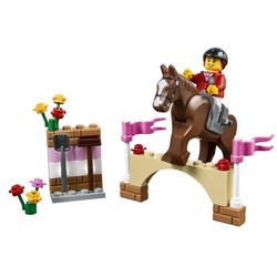 Конструктор Lego Pony Farm 10674