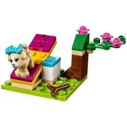 Конструктор Lego Puppy Training 41088