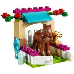 Конструктор Lego Little Foal 41089