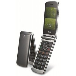 Мобильный телефон LG G360 (черный)