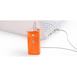 Powerbank аккумулятор Momax iPower S2C