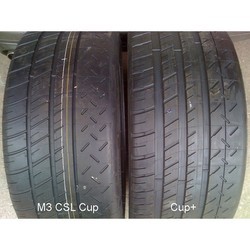 Шины Michelin Pilot Sport Cup 355/25 R21 107Y