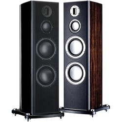 Акустическая система Monitor Audio Platinum PL300