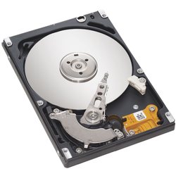 Жесткий диск Seagate ST160LM003