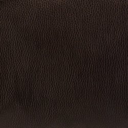Сумка дорожная Brialdi Oregon (коричневый)