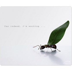 Коврик для мышки Speed-Link Working Ants