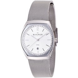 Наручные часы Skagen SKW2049