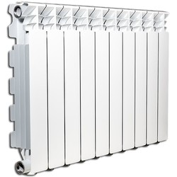 Радиатор отопления Fondital Exclusivo B3 (500/100 2)