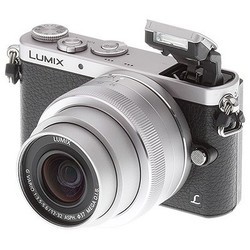 Фотоаппарат Panasonic DMC-GM1 kit 15