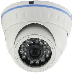 Камера видеонаблюдения Altcam DDMF131IR