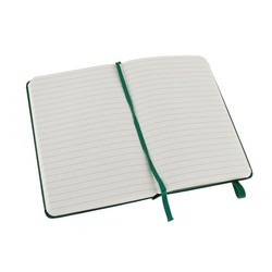Блокнот Moleskine Ruled Notebook Large Mint