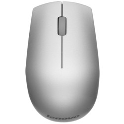 Мышка Lenovo Wireless Mouse 500 (серебристый)