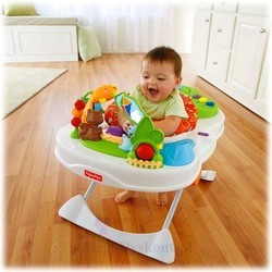 Стульчик для кормления Fisher Price Y5707