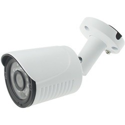 Камера видеонаблюдения Altcam ICF24IR-2