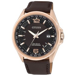 Наручные часы Citizen CB0017-03W