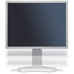 Монитор NEC MultiSync P212 (белый)