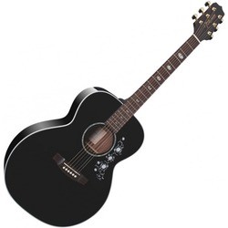 Гитара Takamine EG451DLX