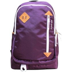 Школьные рюкзаки и ранцы Dr. Kong Z223