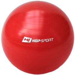 Гимнастический мяч Hop-Sport 550